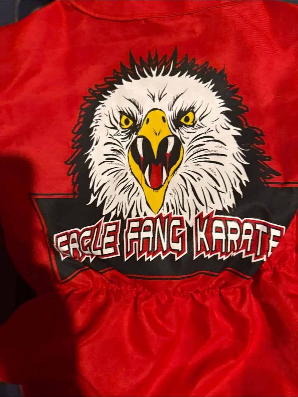 Cobra Kai red martial Arts Style Jacket with Eagle and pants and belt